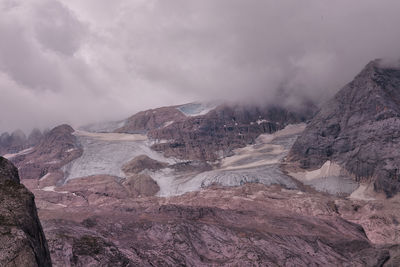 environment
