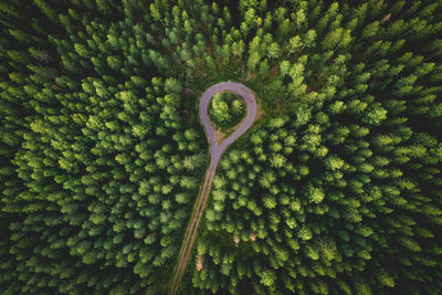 Aerial view of a road with a roundabout in a forest in finland
