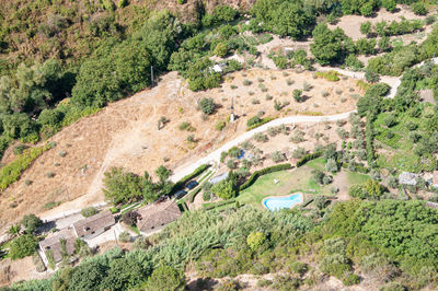 High angle view of road amidst trees