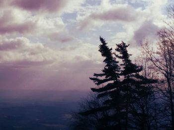 Low angle view of trees against cloudy sky