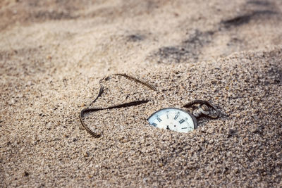 Pocket watch in sand