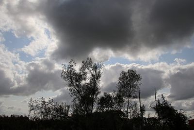 Low angle view of silhouette trees against sky