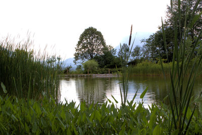 Scenic view of lake against clear sky