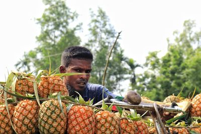 Side view of woman holding pineapple