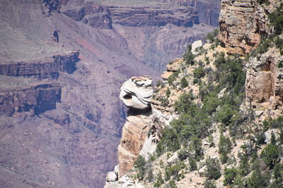 Scenic view of rocky mountains