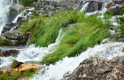 Scenic view of waterfall