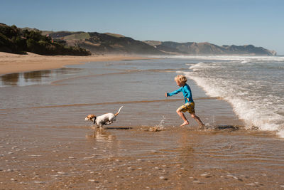 Happy young child playing with small dog at a beach in new zealand
