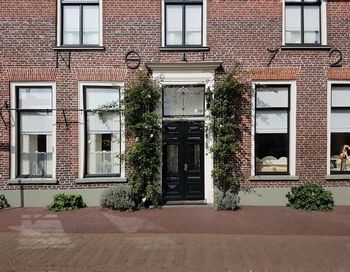 Ivy growing on building