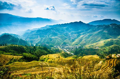 Scenic view of agricultural landscape against sky