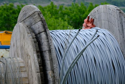 Rear view of man relaxing against plants