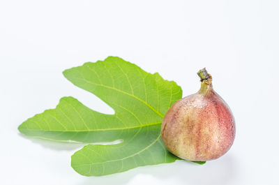 Close-up of fruit against white background