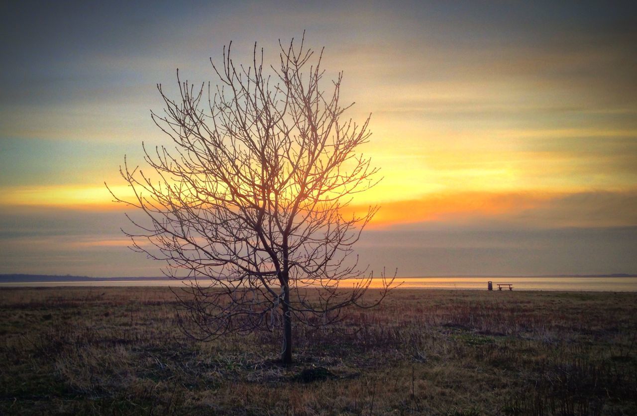 sunset, tranquil scene, tranquility, bare tree, scenics, horizon over water, sky, beauty in nature, branch, silhouette, sea, nature, tree, water, idyllic, orange color, landscape, tree trunk, cloud - sky, non-urban scene