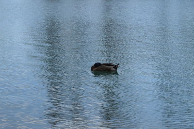 View of boats in water