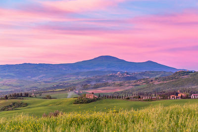 Scenic view of agricultural field against sky during sunset