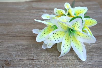 High angle view of flowering plant on table