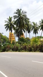 Palm trees by road against sky