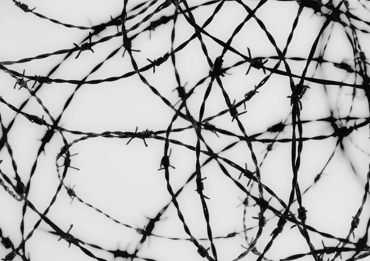 branch, bare tree, chainlink fence, tree, low angle view, sky, protection, twig, fence, nature, safety, focus on foreground, no people, clear sky, full frame, outdoors, barbed wire, close-up, backgrounds, tranquility