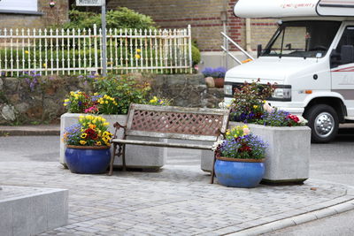 Potted plants on footpath