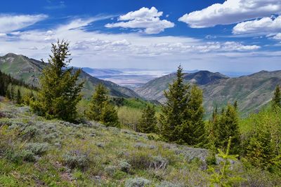 Rocky mountain wasatch front butterfield canyon oquirrh mountains utah, united states.