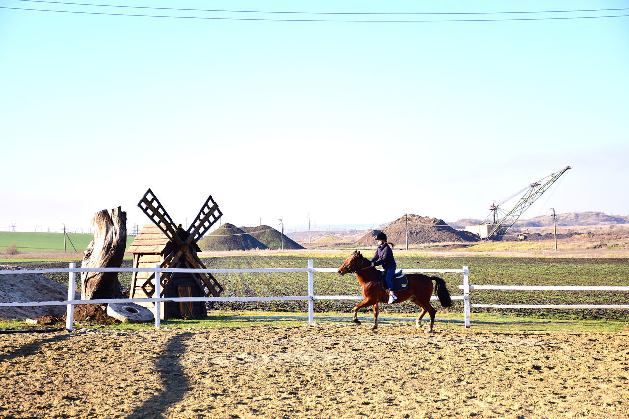 horse, mammal, domestic animals, animal, animal themes, sky, pet, nature, livestock, day, animal wildlife, sunlight, land, group of animals, ranch, activity, sunny, landscape, clear sky, horseback riding, outdoors, farm, men, working animal, environment, person, equestrian sport, fence, transportation