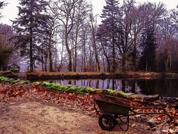 Bicycles by trees against sky