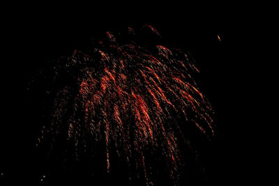 Low angle view of firework display at night