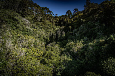 nature
