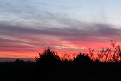 Silhouette trees on landscape against sky at sunset