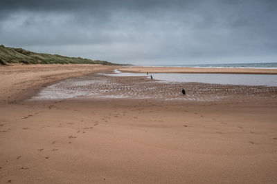 Scenic view of beach against cloudy sky