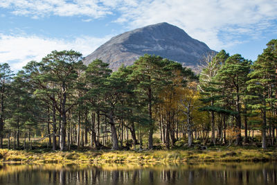 Scenic view of lake by trees against sky