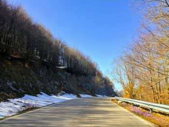 Road amidst trees against sky during winter