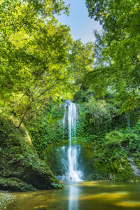 Waterfall in forest