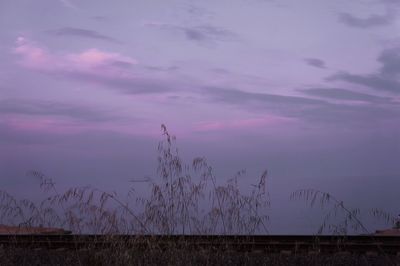 Scenic view of field against sky at sunset