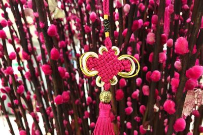 Close-up of red heart shaped flowers