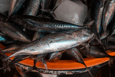 High angle view of fish in market