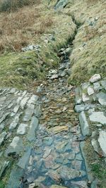 View of footpath