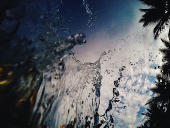 Close-up of jellyfish in water against sky