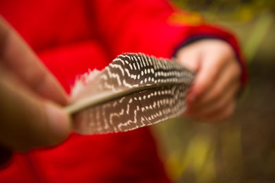 Close-up of hand holding red leaf