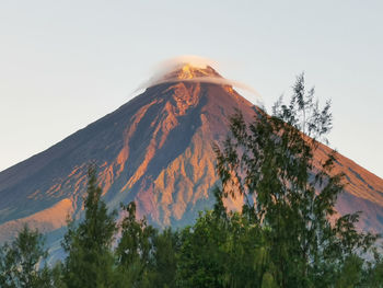 Low angle view of trees against sky