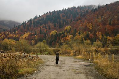 Rear view of man on road amidst autumn trees