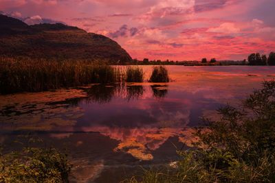 Landscape lake