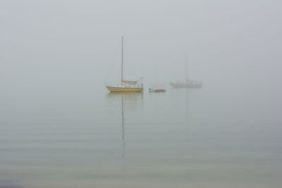 Sailboat sailing on sea against sky