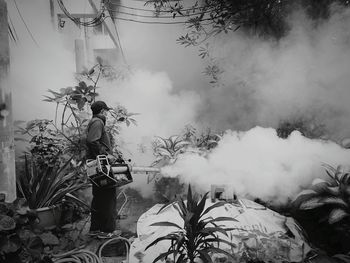 Worker fogging mosquito spray on plants