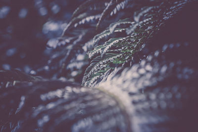 Full frame shot of water