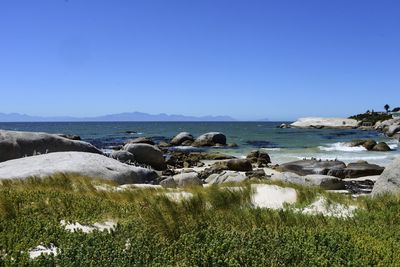 Scenic view of sea against clear blue sky