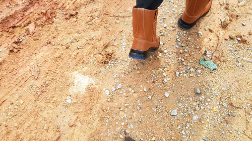 High angle view of toy on sand