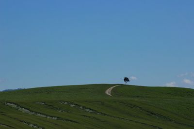 Scenic view of landscape against clear sky