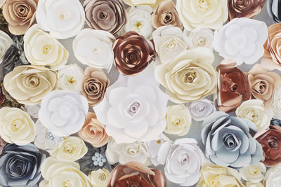 High angle view of roses on table