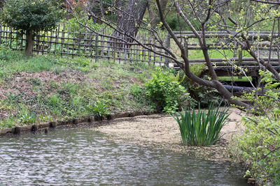 Footbridge over river with trees in background