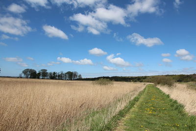 Scenic view of field against sky